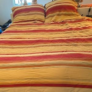 Pottery Barn - Queen 100% Goose Duvet + shams